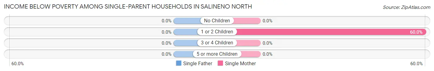 Income Below Poverty Among Single-Parent Households in Salineno North