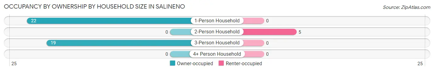 Occupancy by Ownership by Household Size in Salineno