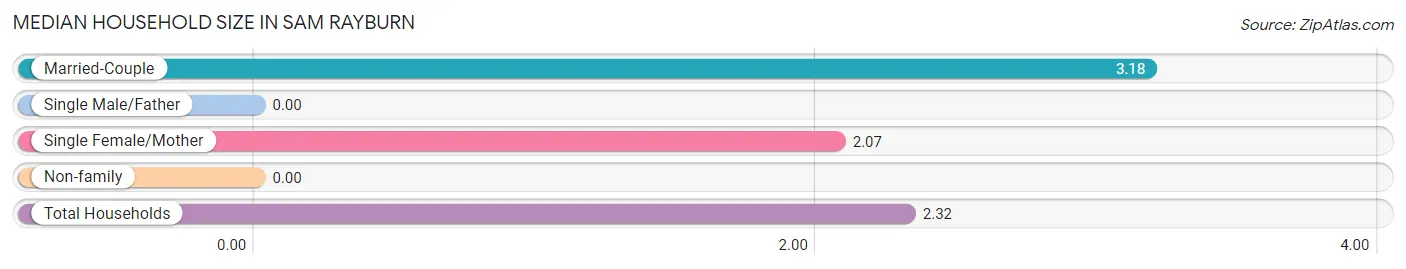 Median Household Size in Sam Rayburn