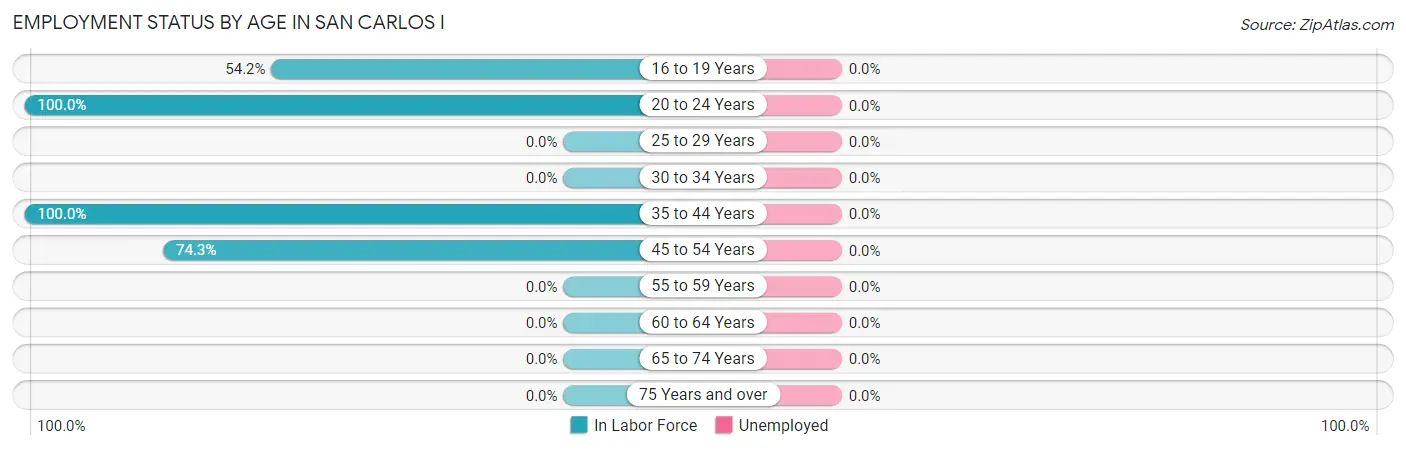 Employment Status by Age in San Carlos I