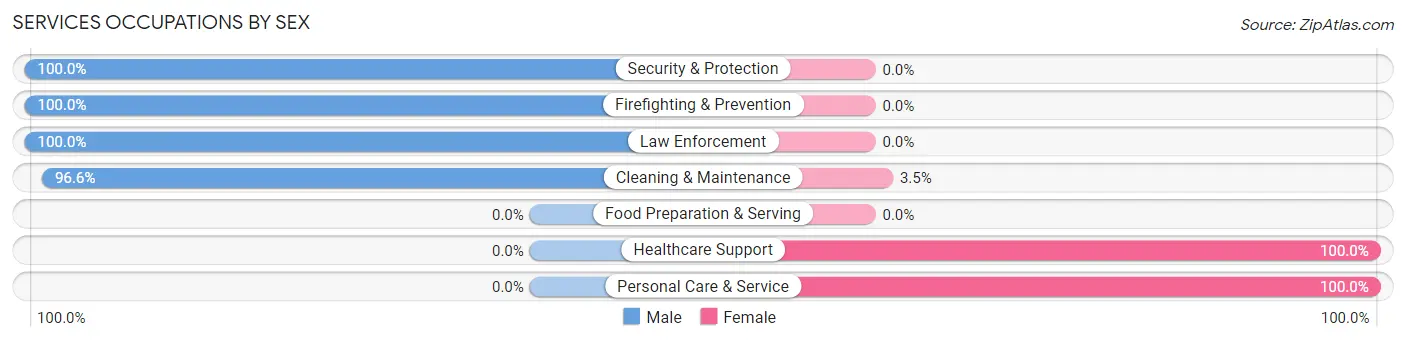 Services Occupations by Sex in San Felipe