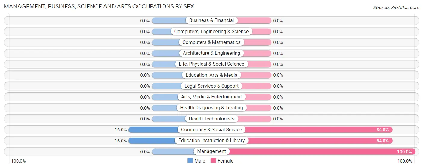Management, Business, Science and Arts Occupations by Sex in San Isidro