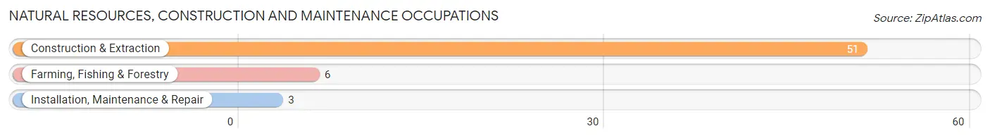 Natural Resources, Construction and Maintenance Occupations in San Perlita