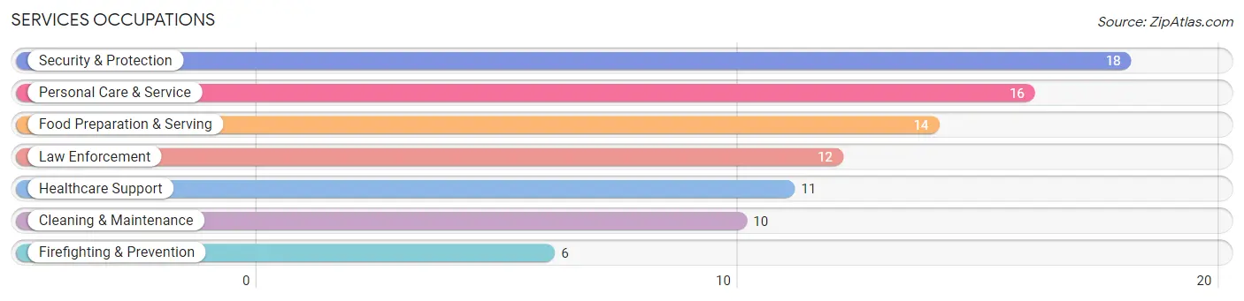 Services Occupations in San Perlita