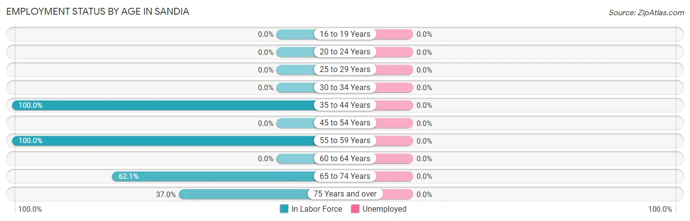 Employment Status by Age in Sandia