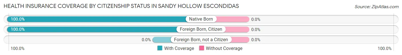 Health Insurance Coverage by Citizenship Status in Sandy Hollow Escondidas