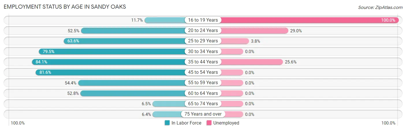 Employment Status by Age in Sandy Oaks