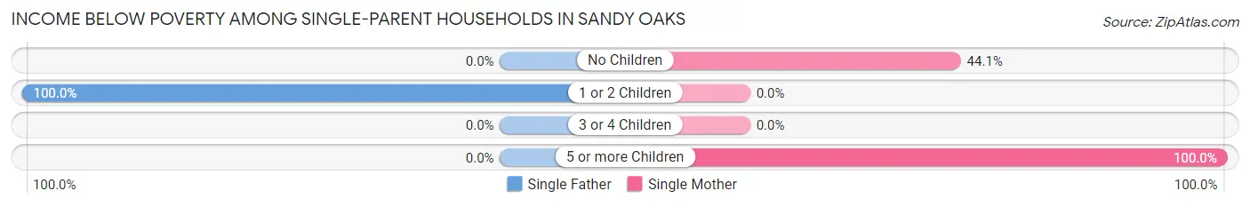 Income Below Poverty Among Single-Parent Households in Sandy Oaks