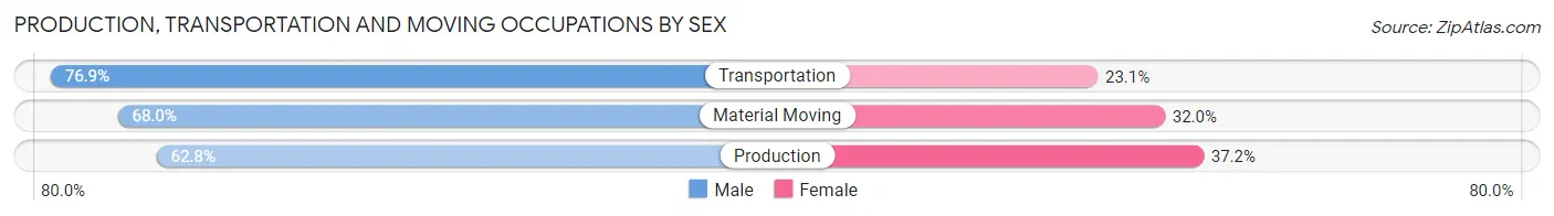 Production, Transportation and Moving Occupations by Sex in Sandy Oaks