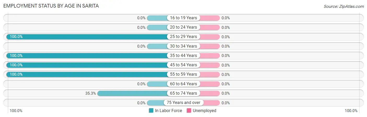 Employment Status by Age in Sarita