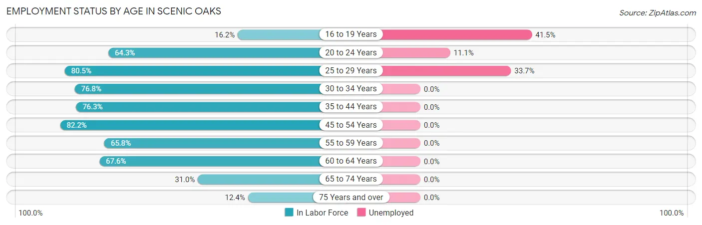 Employment Status by Age in Scenic Oaks