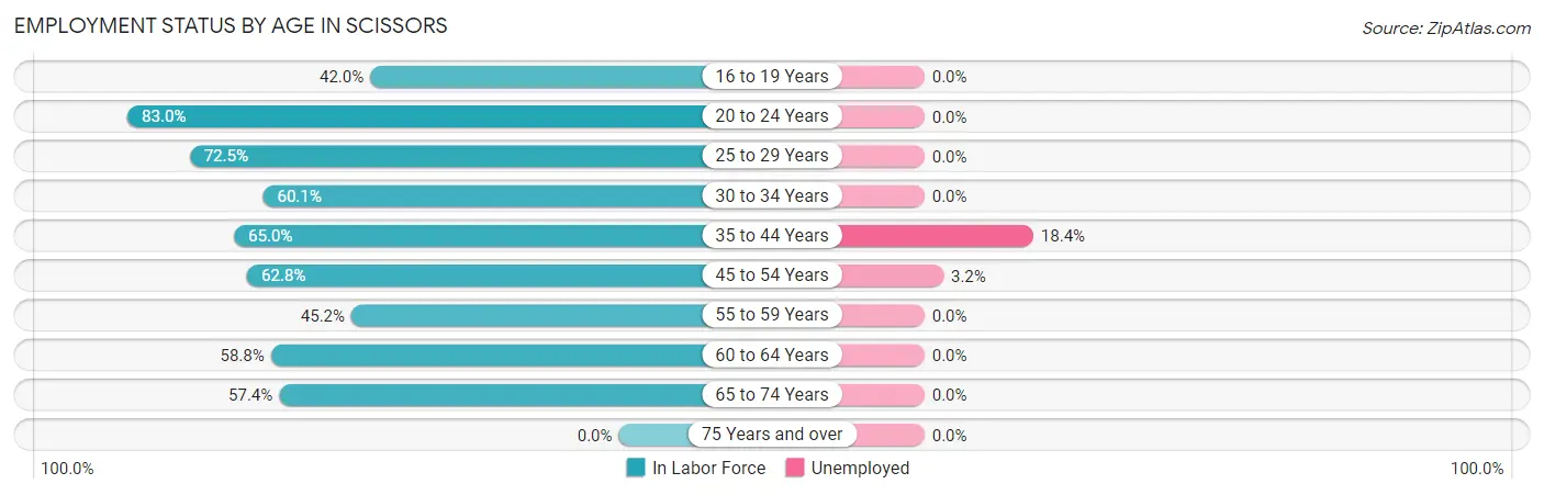 Employment Status by Age in Scissors