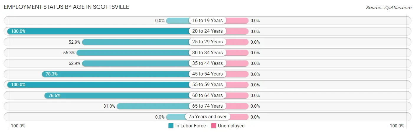 Employment Status by Age in Scottsville