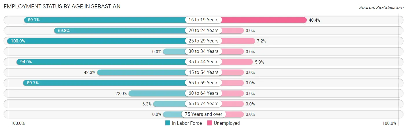 Employment Status by Age in Sebastian