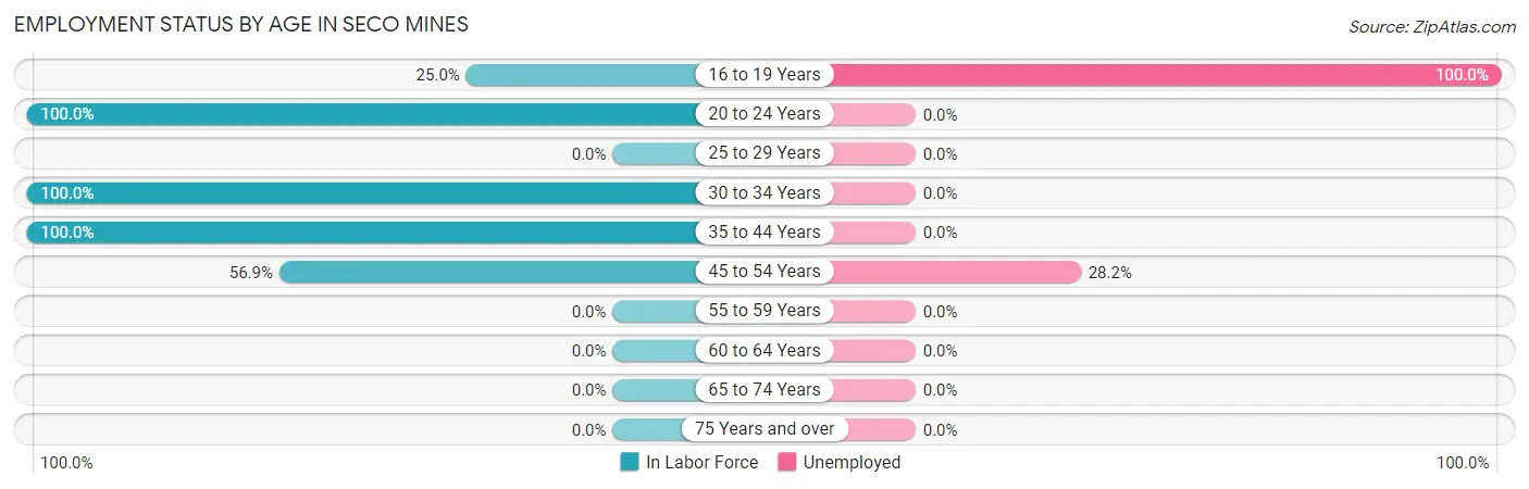 Employment Status by Age in Seco Mines