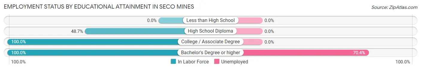 Employment Status by Educational Attainment in Seco Mines