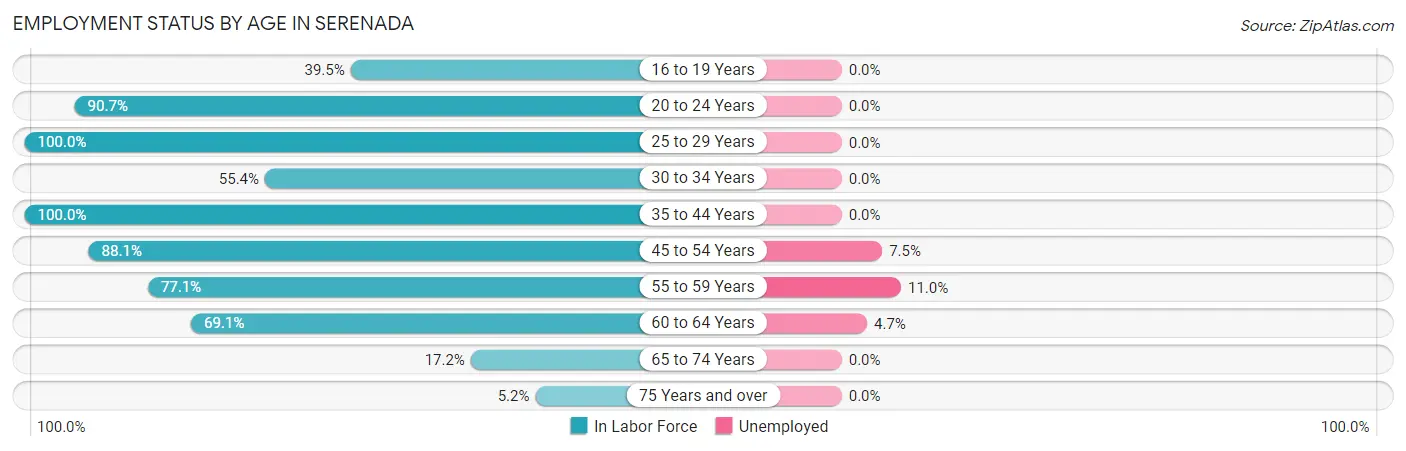 Employment Status by Age in Serenada