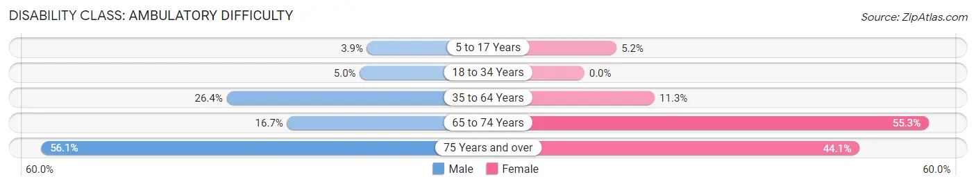 Disability in Seven Points: <span>Ambulatory Difficulty</span>