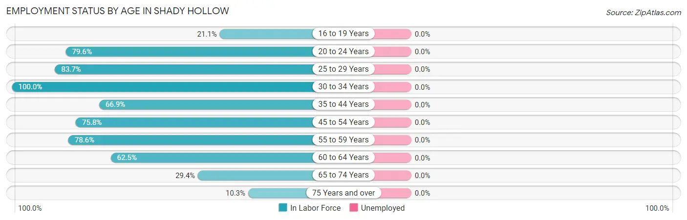 Employment Status by Age in Shady Hollow