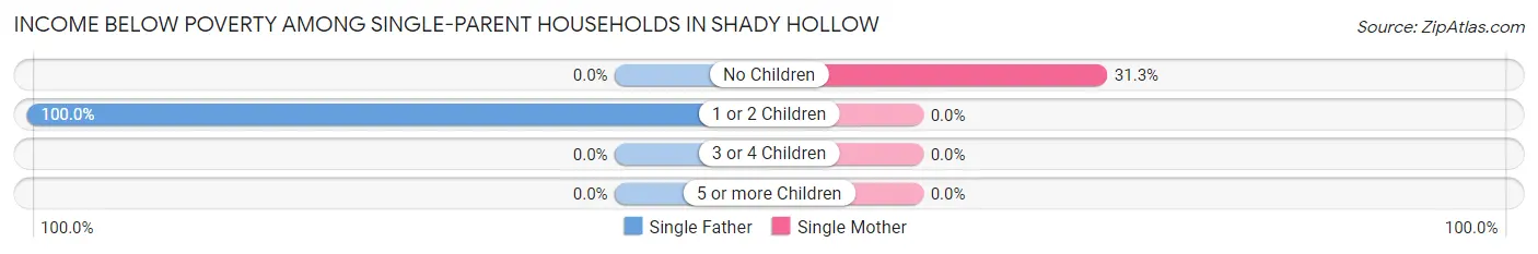 Income Below Poverty Among Single-Parent Households in Shady Hollow