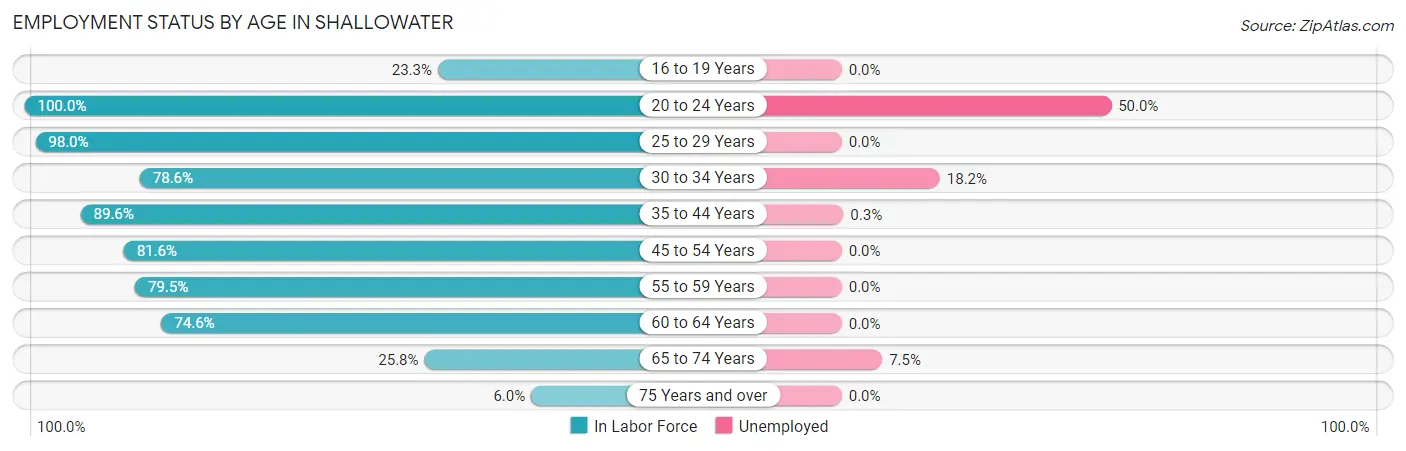 Employment Status by Age in Shallowater