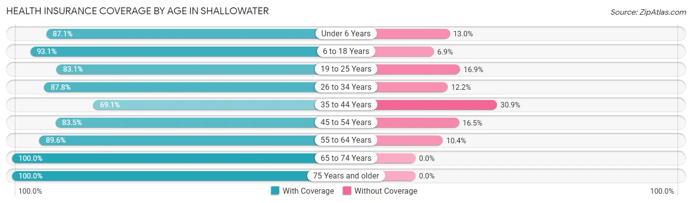 Health Insurance Coverage by Age in Shallowater