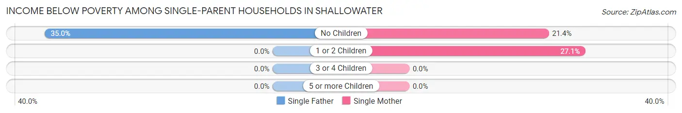 Income Below Poverty Among Single-Parent Households in Shallowater