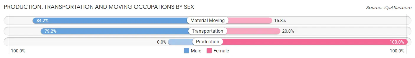 Production, Transportation and Moving Occupations by Sex in Shallowater