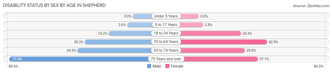 Disability Status by Sex by Age in Shepherd