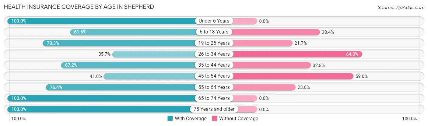 Health Insurance Coverage by Age in Shepherd