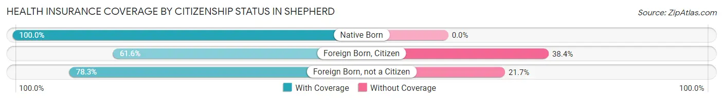 Health Insurance Coverage by Citizenship Status in Shepherd
