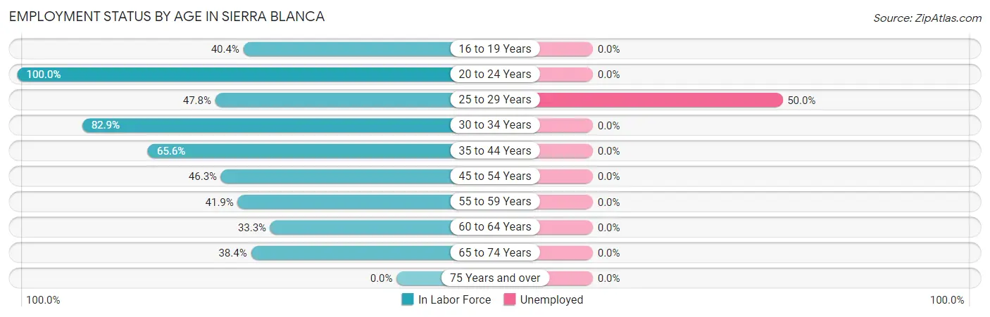 Employment Status by Age in Sierra Blanca