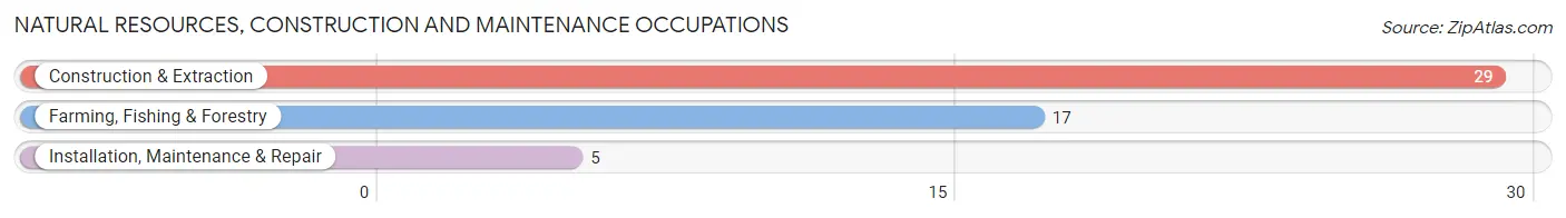 Natural Resources, Construction and Maintenance Occupations in Silverton