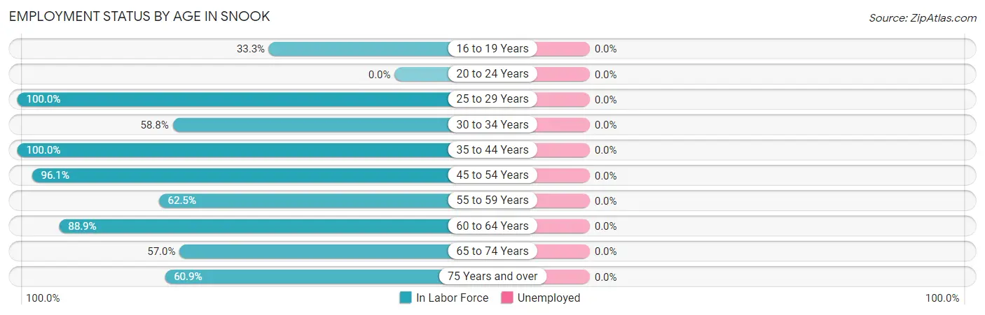 Employment Status by Age in Snook