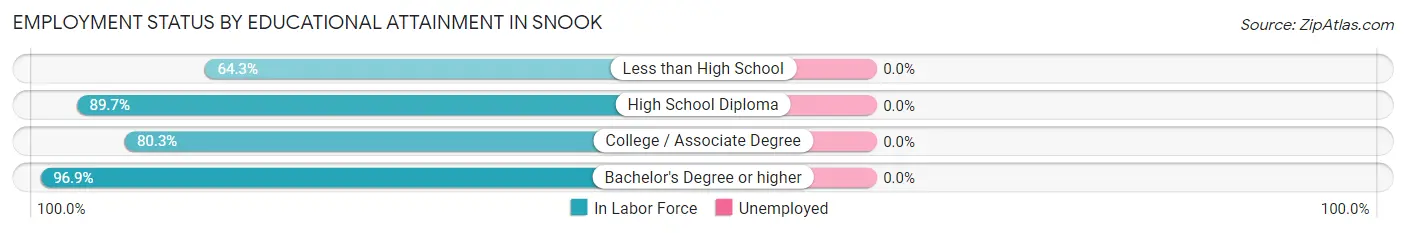 Employment Status by Educational Attainment in Snook