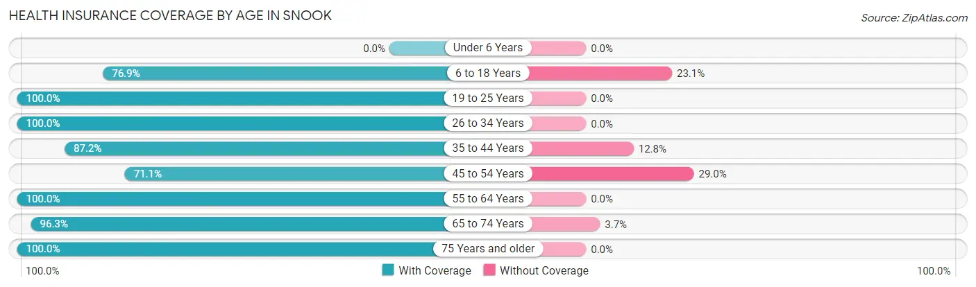 Health Insurance Coverage by Age in Snook