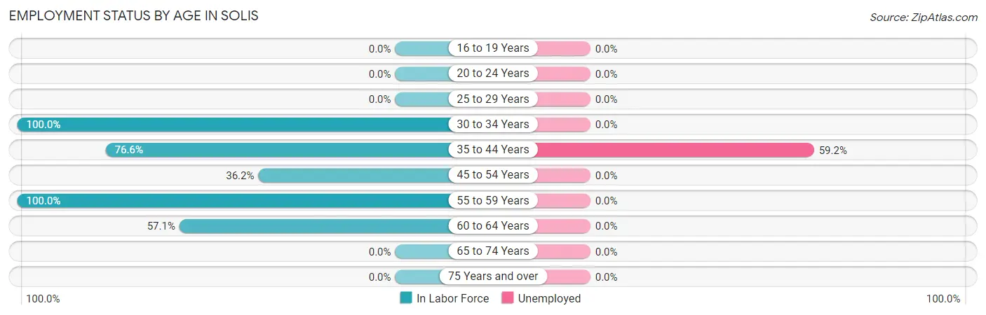 Employment Status by Age in Solis
