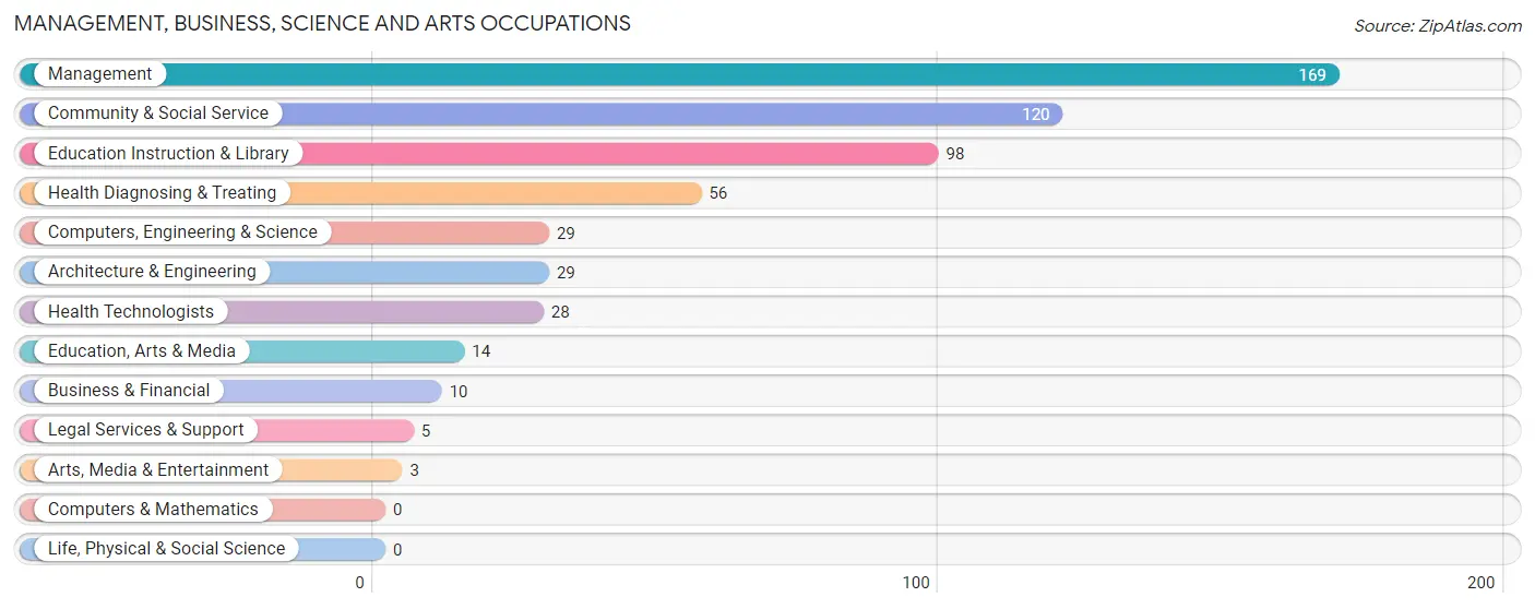 Management, Business, Science and Arts Occupations in Sonora