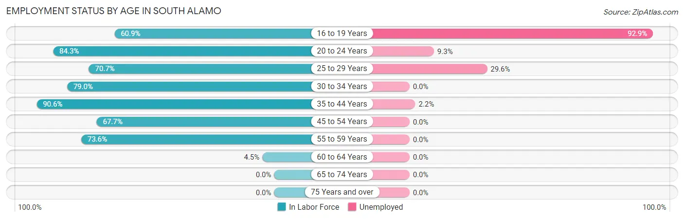 Employment Status by Age in South Alamo