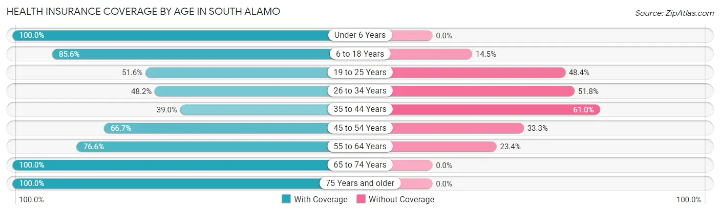 Health Insurance Coverage by Age in South Alamo