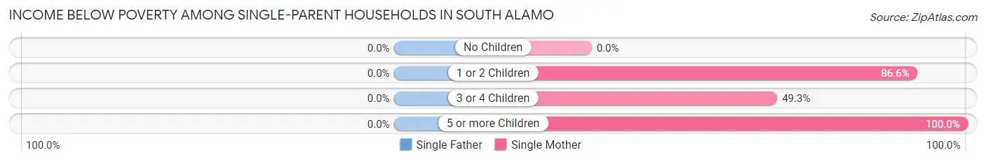 Income Below Poverty Among Single-Parent Households in South Alamo