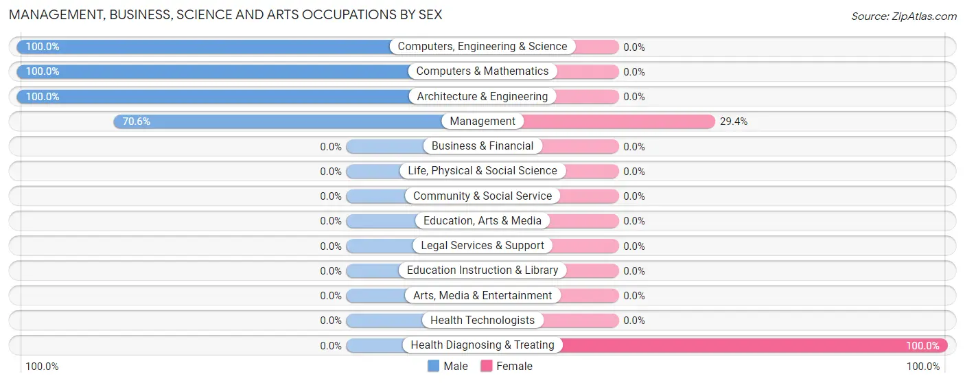 Management, Business, Science and Arts Occupations by Sex in South Alamo