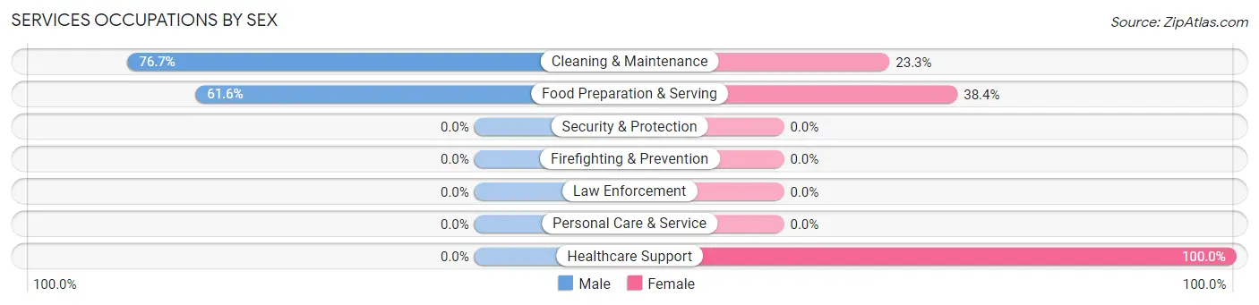 Services Occupations by Sex in South Alamo