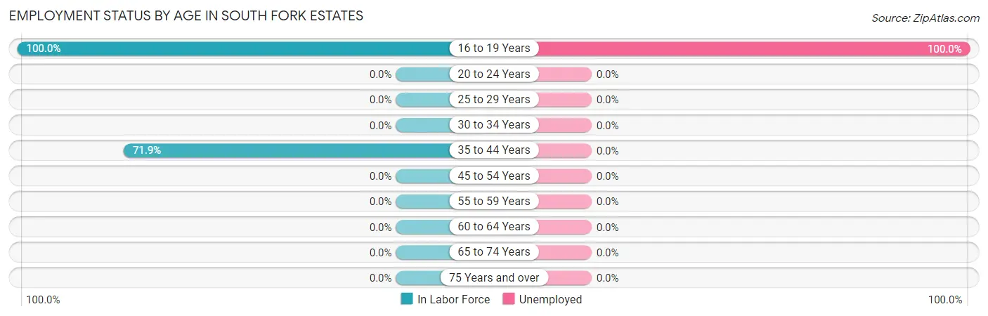 Employment Status by Age in South Fork Estates