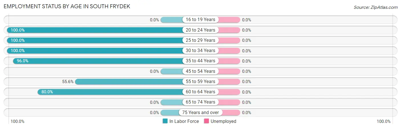 Employment Status by Age in South Frydek