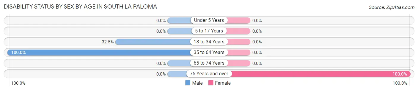 Disability Status by Sex by Age in South La Paloma