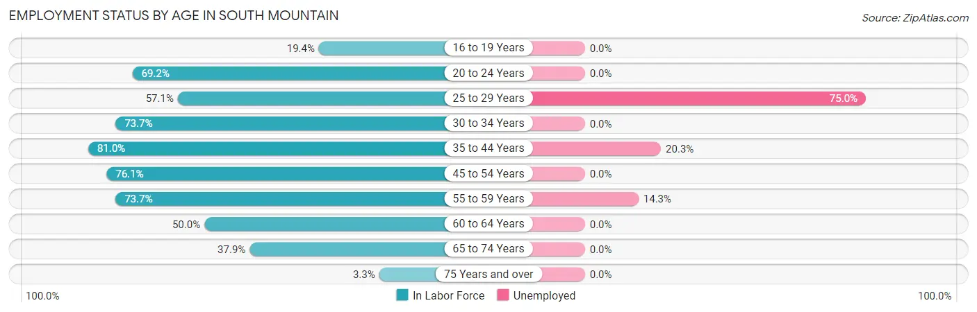 Employment Status by Age in South Mountain
