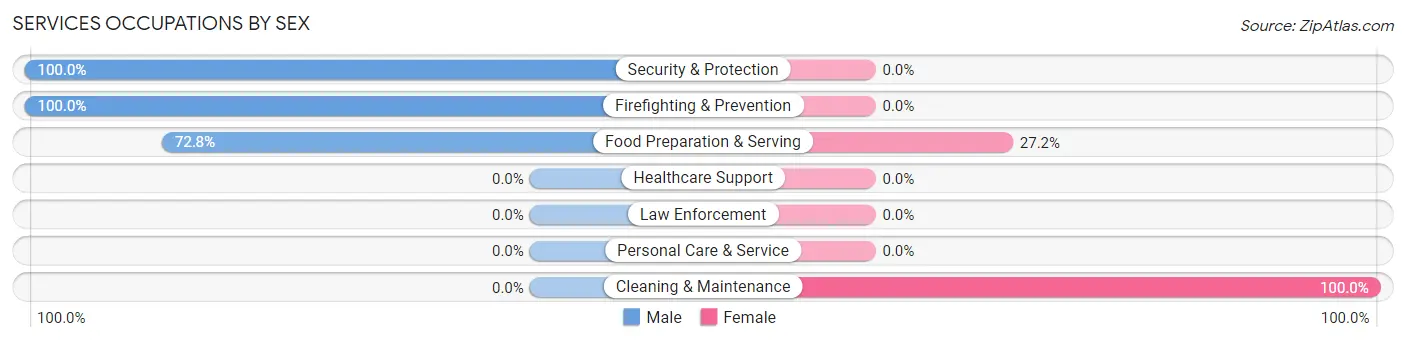 Services Occupations by Sex in South Padre Island