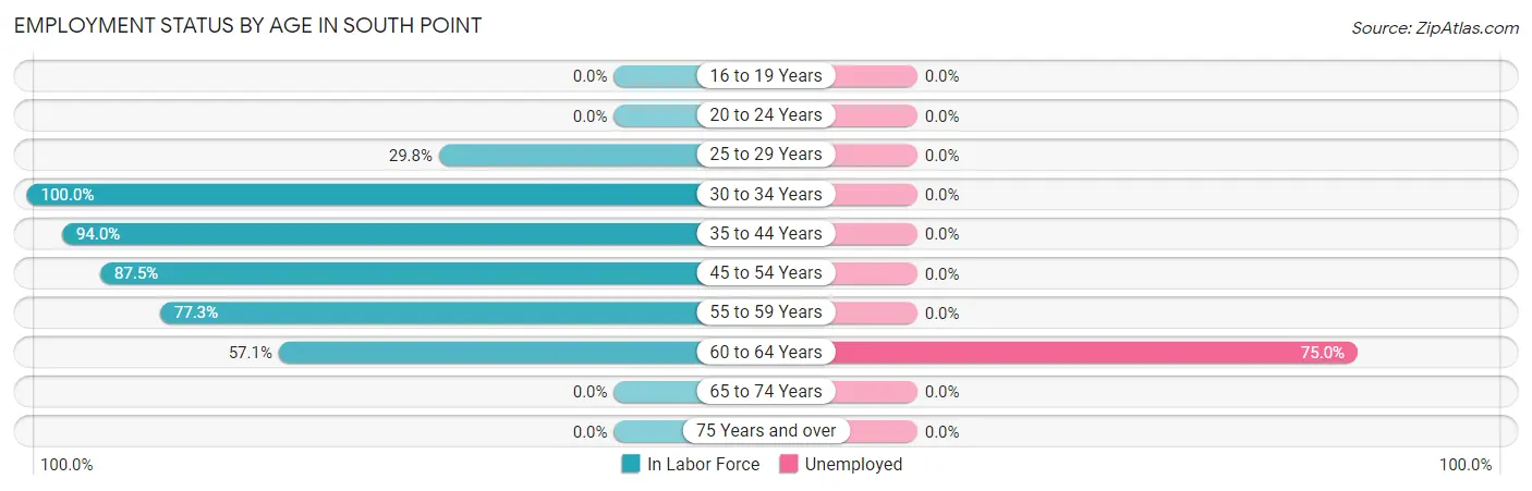 Employment Status by Age in South Point