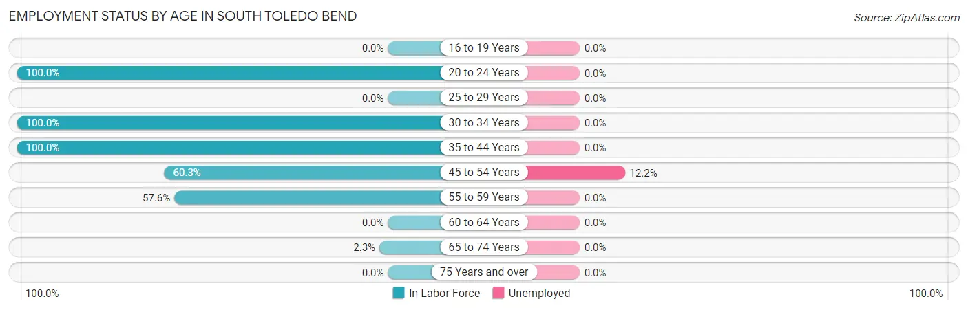 Employment Status by Age in South Toledo Bend